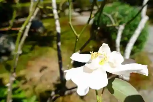 一條殿 新善光寺の自然