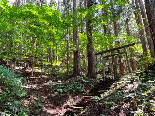 戸隠神社宝光社の鳥居