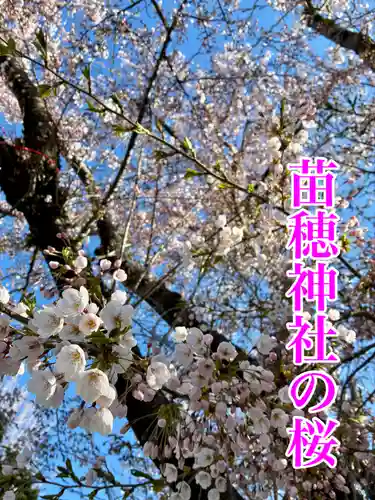 苗穂神社(北海道)