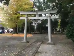 井細田八幡神社の鳥居