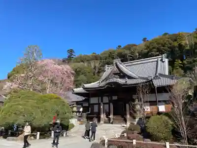 修禅寺(静岡県)