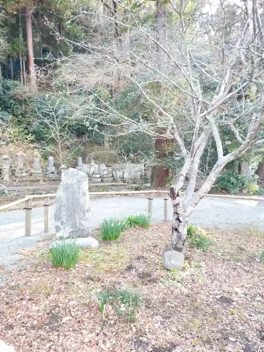 妙本寺の{uncategorized: "未分類", other: "その他", undefined: "問題あり", building: "その他建物", grave: "お墓", sacred_gate: "鳥居", guardian: "狛犬", statue: "像", buddha: "仏像", history: "歴史", nature: "自然", garden: "庭園", animal: "動物", pagoda: "塔", temizu: "手水舎", mountain_gate: "山門・神門", sanctuary: "本殿・本堂", subordinate: "末社・摂社", art: "芸術", scenery: "景色", jizo: "地蔵", ema: "絵馬", goshuin: "御朱印", omikuji: "おみくじ", items: "授与品その他", amulet: "お守り", goshuincho: "御朱印帳", eats: "食事", festival: "お祭り", votive_dance: "神楽", shichigosan: "七五三参", wedding: "結婚式", experience: "体験その他", initially: "初詣", around: "周辺", anti_infection: "感染症対策"}