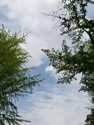 渋谷氷川神社(東京都)