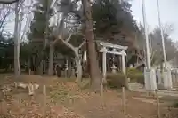 天形星神社の鳥居