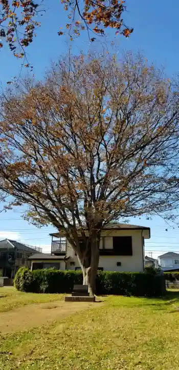 庚申神社の自然