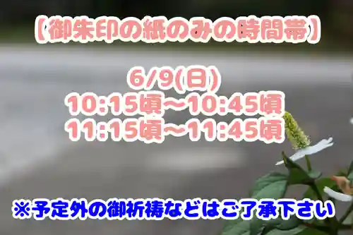 くまくま神社(導きの社 熊野町熊野神社)(東京都)