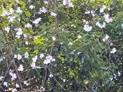 （長良）天神神社(岐阜県)