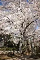 前原御嶽神社(千葉県)