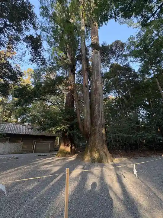 伊勢神宮内宮(皇大神宮)の{uncategorized: "未分類", other: "その他", undefined: "問題あり", building: "その他建物", grave: "お墓", sacred_gate: "鳥居", guardian: "狛犬", statue: "像", buddha: "仏像", history: "歴史", nature: "自然", garden: "庭園", animal: "動物", pagoda: "塔", temizu: "手水舎", mountain_gate: "山門・神門", sanctuary: "本殿・本堂", subordinate: "末社・摂社", art: "芸術", scenery: "景色", jizo: "地蔵", ema: "絵馬", goshuin: "御朱印", omikuji: "おみくじ", items: "授与品その他", amulet: "お守り", goshuincho: "御朱印帳", eats: "食事", festival: "お祭り", votive_dance: "神楽", shichigosan: "七五三参", wedding: "結婚式", experience: "体験その他", initially: "初詣", around: "周辺", anti_infection: "感染症対策"}