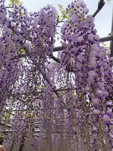 龍城神社(愛知県)