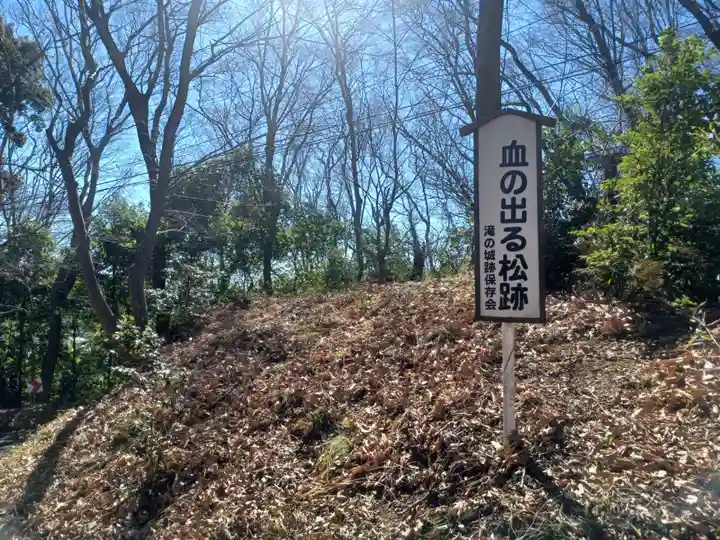 城山神社のその他建物