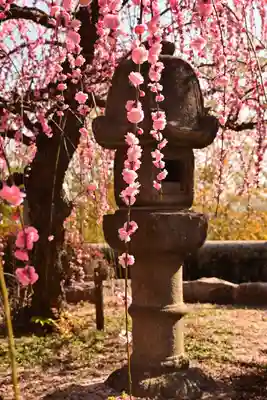 防府天満宮(山口県)