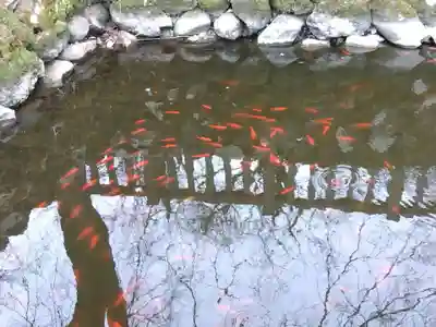 柳廼社(福井県)