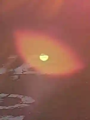 矢切神社の周辺