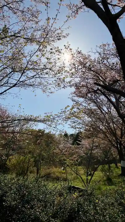 吉備津岡辛木神社(岡山県)