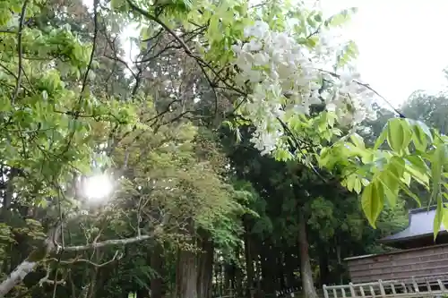 丹生都比売神社の自然