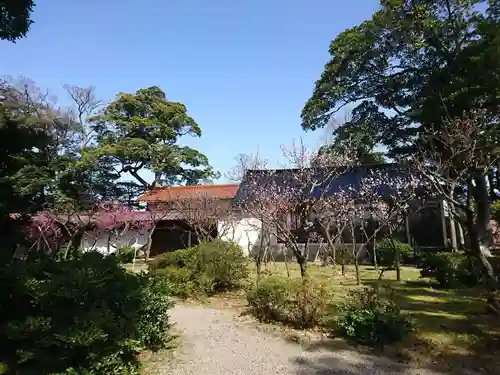 小松天満宮の自然