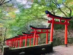 有子山稲荷神社の鳥居