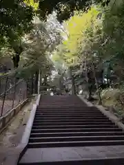 渋谷氷川神社(東京都)