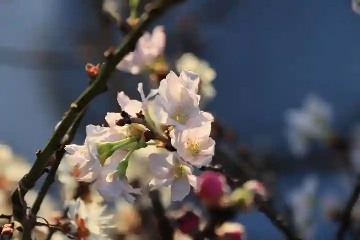 熊野福藏神社の手水舎