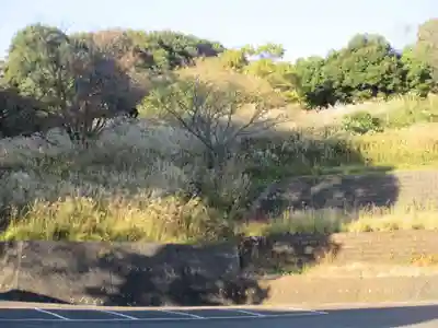 妙福寺(神奈川県)