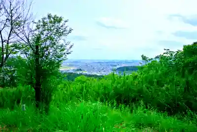 賀茂別雷神社(栃木県)