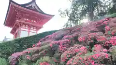 清水寺の自然