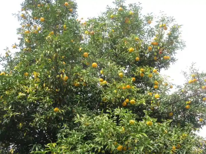 大忠院(埼玉県)