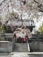 慈眼寺の山門・神門