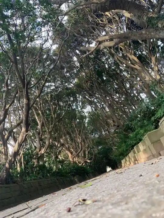 酒列磯前神社(茨城県)