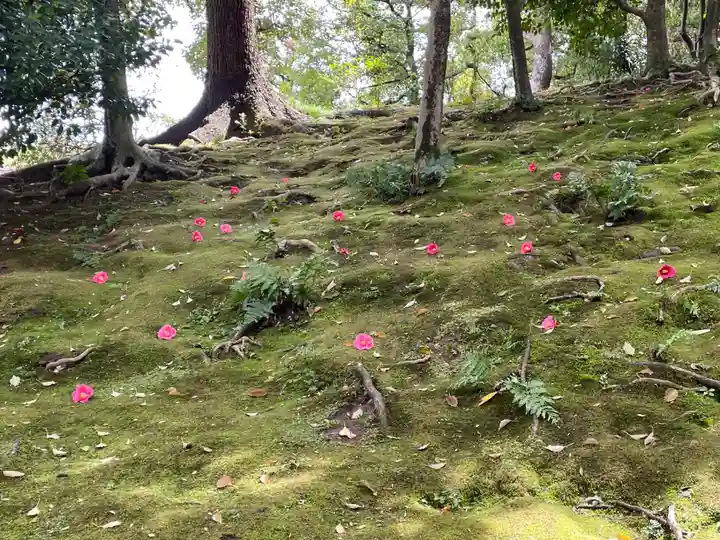 城南宮(京都府)