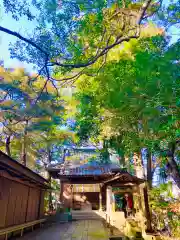 金刀比羅(琴平)神社(茨城県)