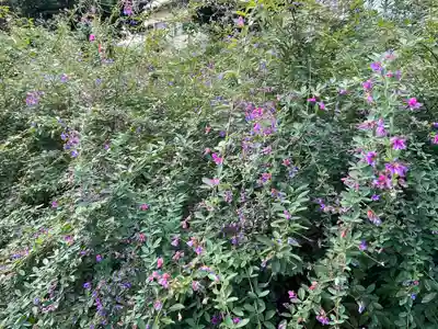 常林寺(京都府)