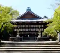 向日神社の本殿・本堂