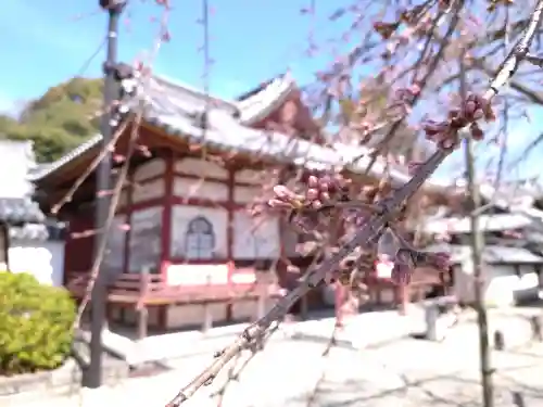 粉河寺の{uncategorized: "未分類", other: "その他", undefined: "問題あり", building: "その他建物", grave: "お墓", sacred_gate: "鳥居", guardian: "狛犬", statue: "像", buddha: "仏像", history: "歴史", nature: "自然", garden: "庭園", animal: "動物", pagoda: "塔", temizu: "手水舎", mountain_gate: "山門・神門", sanctuary: "本殿・本堂", subordinate: "末社・摂社", art: "芸術", scenery: "景色", jizo: "地蔵", ema: "絵馬", goshuin: "御朱印", omikuji: "おみくじ", items: "授与品その他", amulet: "お守り", goshuincho: "御朱印帳", eats: "食事", festival: "お祭り", votive_dance: "神楽", shichigosan: "七五三参", wedding: "結婚式", experience: "体験その他", initially: "初詣", around: "周辺", anti_infection: "感染症対策"}