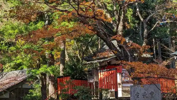 柳谷観音 楊谷寺(京都府)