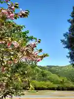 高司神社〜むすびの神の鎮まる社〜(福島県)