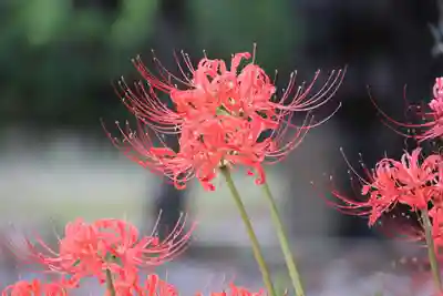 庄野菅原神社の庭園