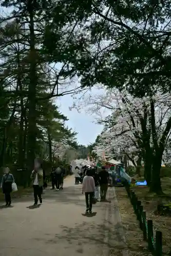 蒼柴神社(新潟県)