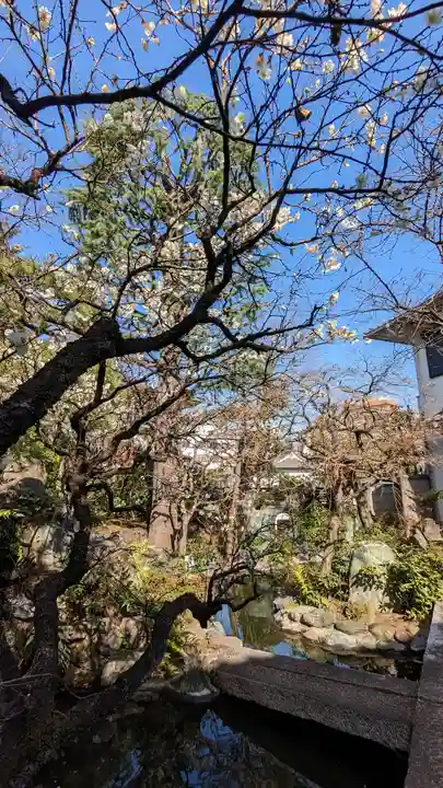 感通寺(東京都)
