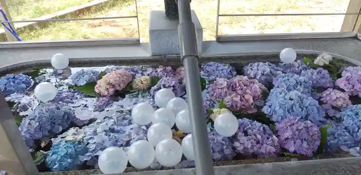 下野國一社八幡宮の手水舎