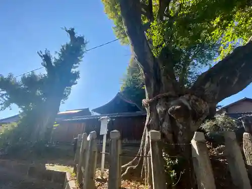 宇賀神社(京都府)