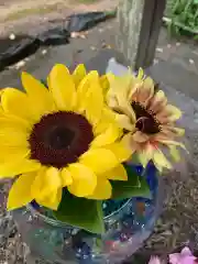 彌都加伎神社の庭園