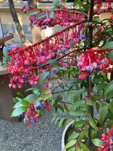赤坂氷川神社(東京都)