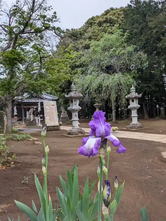 伏木香取神社(茨城県)
