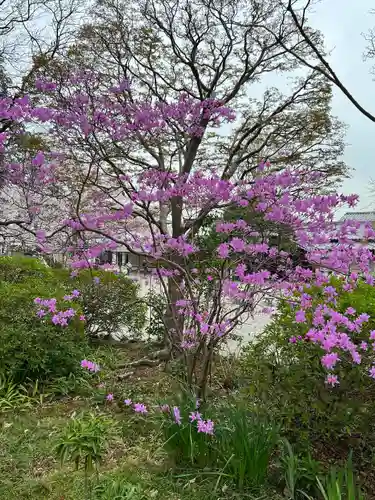 高麗神社(埼玉県)