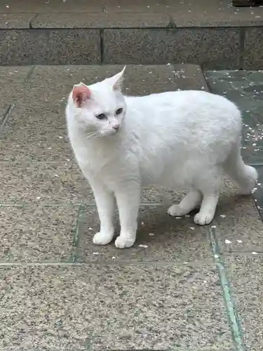 王子神社(徳島県)