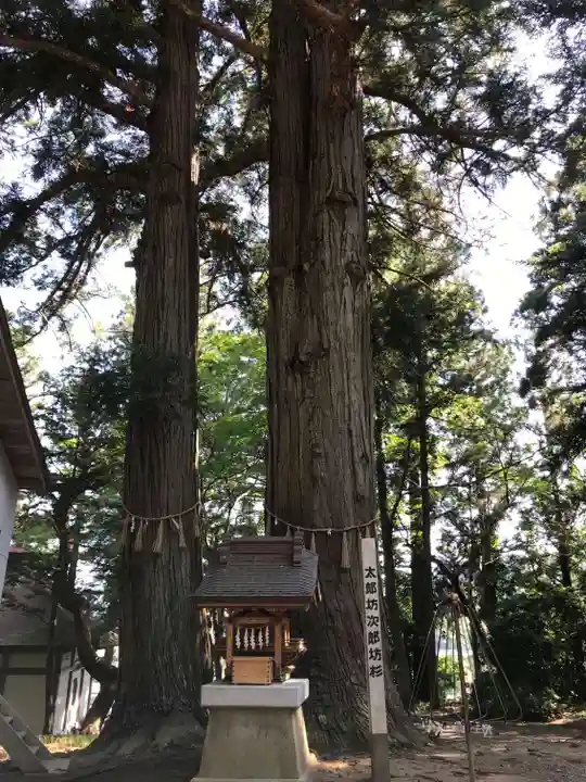 米川八幡神社の自然