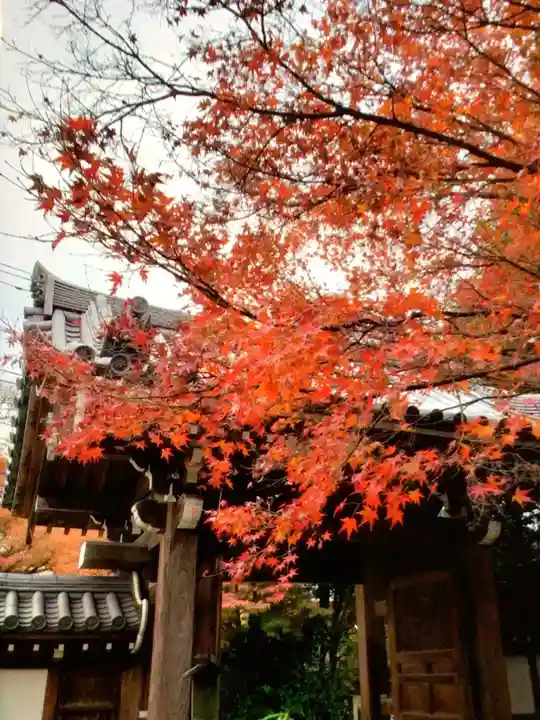高円寺(東京都)