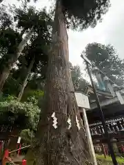 日光二荒山神社(栃木県)